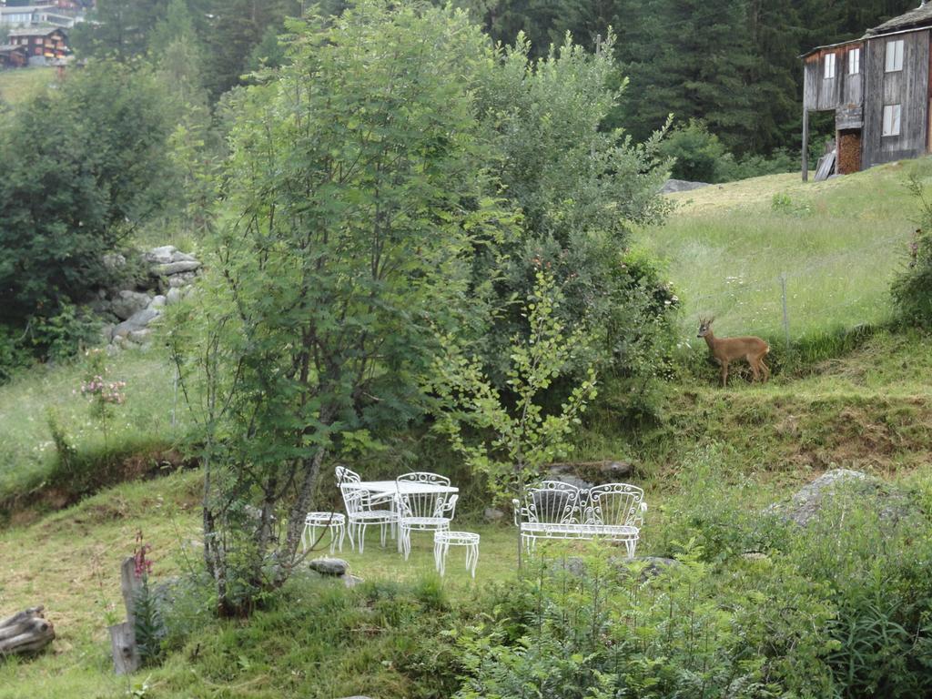 Chalet Sven & Marc Graechen, Niedergraechen Vallis Sankt Niklaus Δωμάτιο φωτογραφία